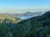 000 Morning Mist Drive - Photo 2