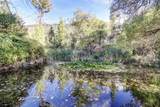 11799 Drunken Gulch Road - Photo 39