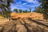 16438 Lower Springs Road - Photo 14