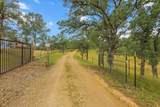 16805 Hummingbird Lane - Photo 84