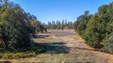 00 Honeybee Road - Photo 6