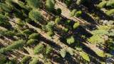 000 Waterleaf Lane - Photo 12