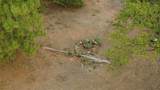  Sugar Pine Camp Road - Photo 10