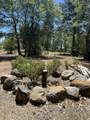  Sugar Pine Camp Road - Photo 11