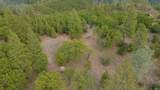  Sugar Pine Camp Road - Photo 3