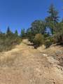  Sugar Pine Camp Road - Photo 7