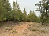  Sugar Pine Camp Road - Photo 8