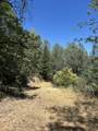  Sugar Pine Camp Road - Photo 9