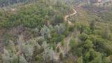 000 Sugar Pine Camp Road - Photo 1