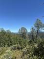 000 Sugar Pine Camp Road - Photo 12