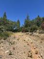 000 Sugar Pine Camp Road - Photo 14