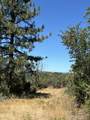 000 Sugar Pine Camp Road - Photo 5