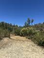 000 Sugar Pine Camp Road - Photo 7