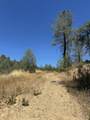000 Sugar Pine Camp Road - Photo 8