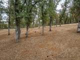 18371 Basler Road - Photo 54