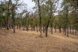 18371 Basler Road - Photo 79