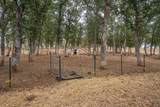 18371 Basler Road - Photo 92