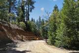 1120 Upper Democrat Gulch Road - Photo 2