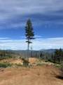 1120 Upper Democrat Gulch Road - Photo 3