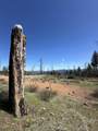 1120 Upper Democrat Gulch Road - Photo 4