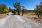 19269 Montgomery Valley Drive - Photo 60