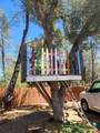 16560 Elder Creek Circle - Photo 12
