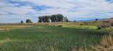 472000 Milford Street - Photo 10