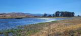 472000 Milford Street - Photo 14