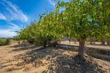 24611 Pedan - Photo 22