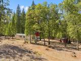 10814 Blue Mountain Ranch Road - Photo 40
