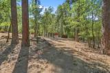10814 Blue Mountain Ranch Road - Photo 42