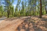 10814 Blue Mountain Ranch Road - Photo 43