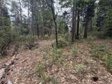  Timber Hill Drive - Photo 12