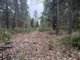  Timber Hill Drive - Photo 13
