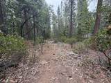  Timber Hill Drive - Photo 5