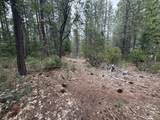  Timber Hill Drive - Photo 6