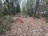  Timber Hill Drive - Photo 9