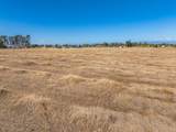 000 Hoag Road - Photo 14