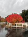 10740 Swede Creek Road - Photo 46