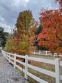 10740 Swede Creek Road - Photo 48