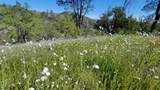 Lot 207 Fiddlers Road - Photo 10