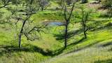 Lot 207 Fiddlers Road - Photo 15
