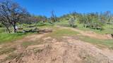 Lot 207 Fiddlers Road - Photo 23