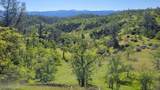 Lot 207 Fiddlers Road - Photo 5