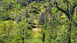 Lot 207 Fiddlers Road - Photo 6
