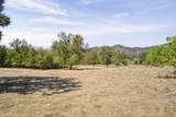 14161 Holiday Road - Photo 18