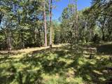 10473 Blue Mountain Ranch Road - Photo 14
