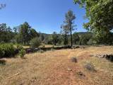 10473 Blue Mountain Ranch Road - Photo 17