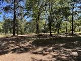 10473 Blue Mountain Ranch Road - Photo 18