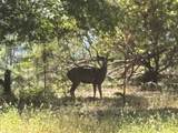 10473 Blue Mountain Ranch Road - Photo 20